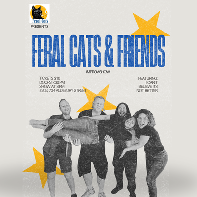 Feral Cats & Friends